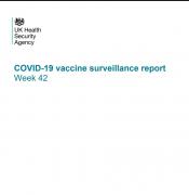 The UK government admits that vaccines have damaged the natural immune system of those who have been double-vaccinated.  Source report included.